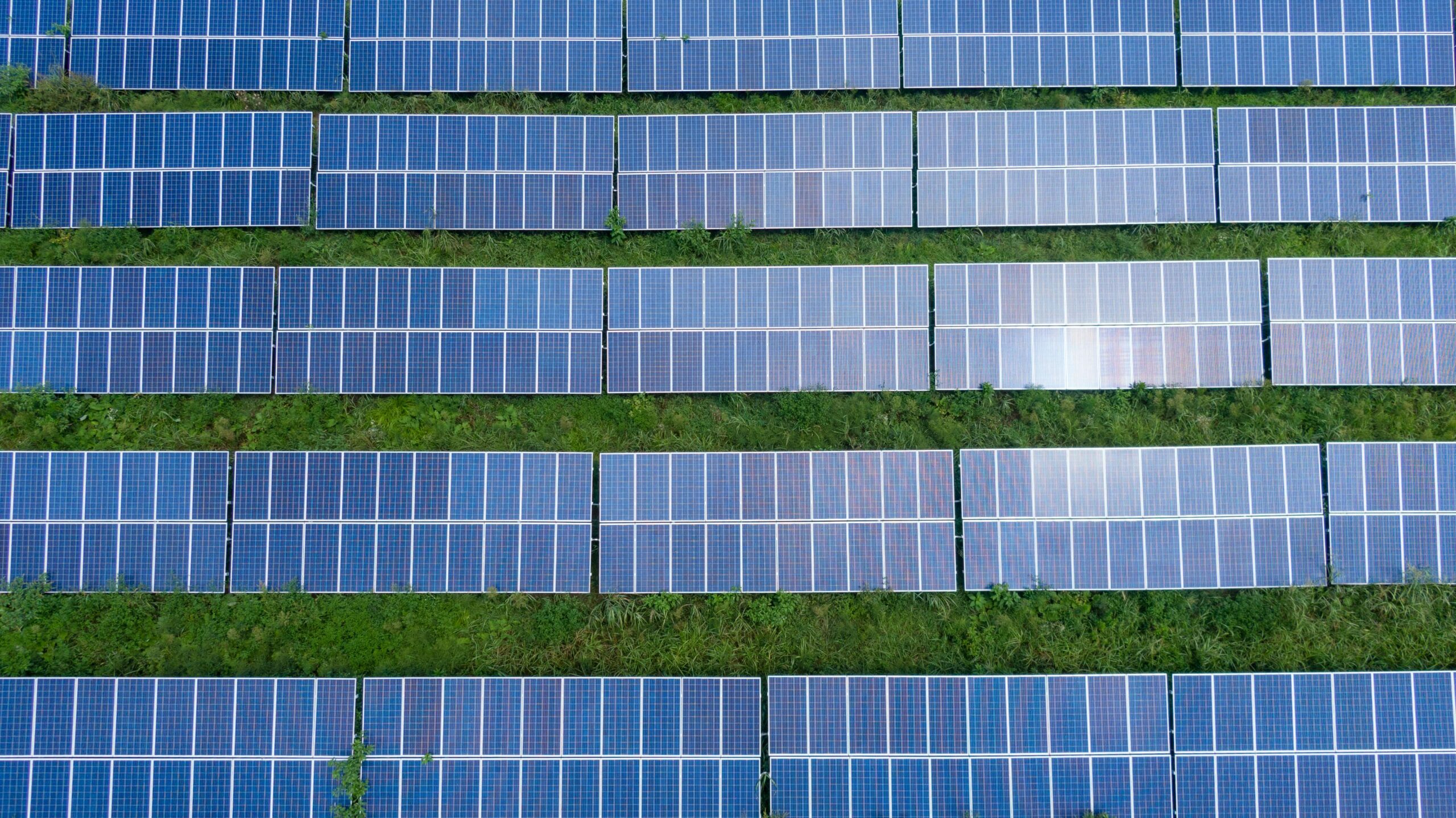 Solceller pris – Hvad koster det at blive selvforsynende med strøm?